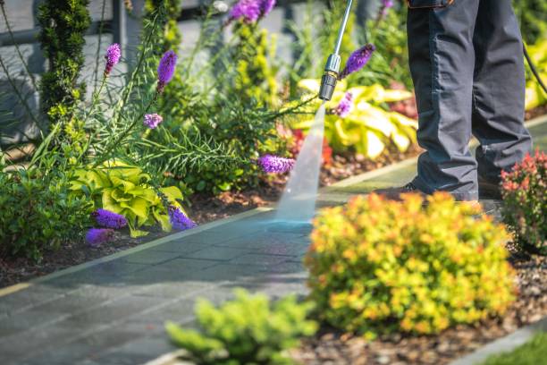 Best Dumpster Area Cleaning  in Lyons, GA