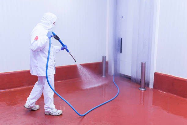 Best House Exterior Washing  in Lyons, GA